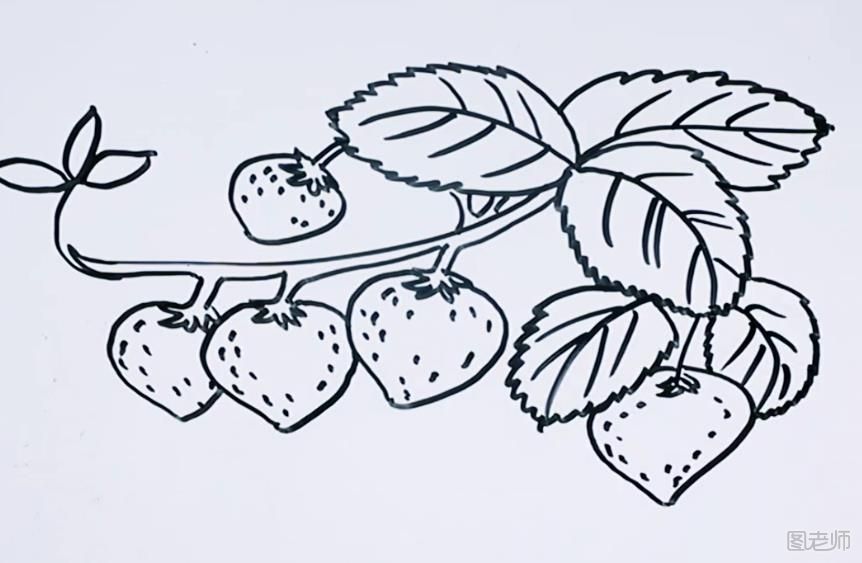 草莓简笔画怎么画 牛奶草莓简笔画教学