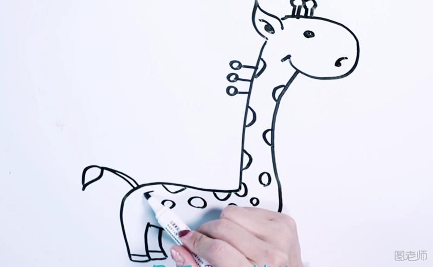 可爱长颈鹿简笔画教学 可爱长颈鹿怎么画