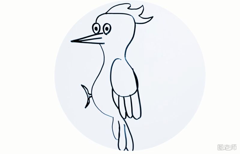 卡通啄木鸟简笔画图解教程 啄木鸟要怎么画