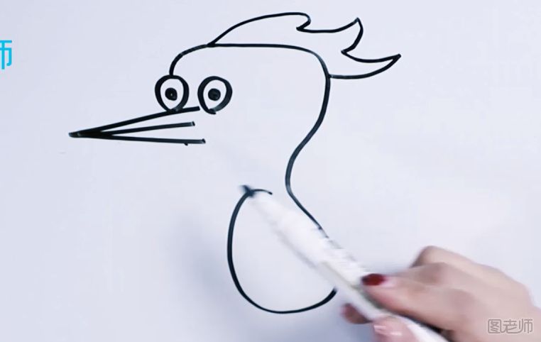 卡通啄木鸟简笔画图解教程 啄木鸟要怎么画