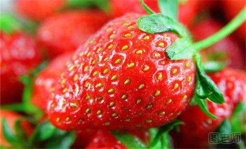 孕妇吃草莓有哪些注意事项