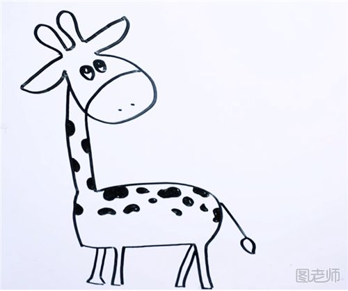 南非长颈鹿的简笔画怎么画 一分钟教你画南非长颈鹿
