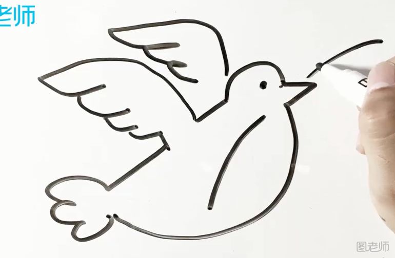 简笔画教程 叼和平草的鸽子怎么画
