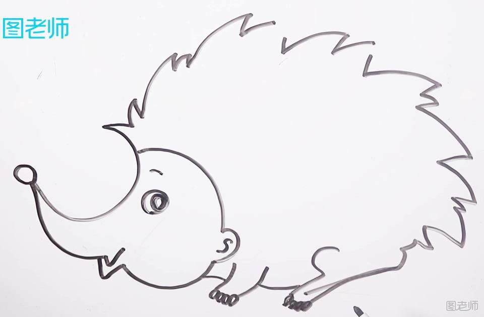 动物简笔画教学 刺猬简笔画怎么画