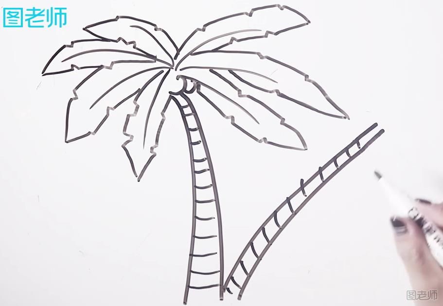 椰子树简笔画教学 椰子树简笔画怎么画