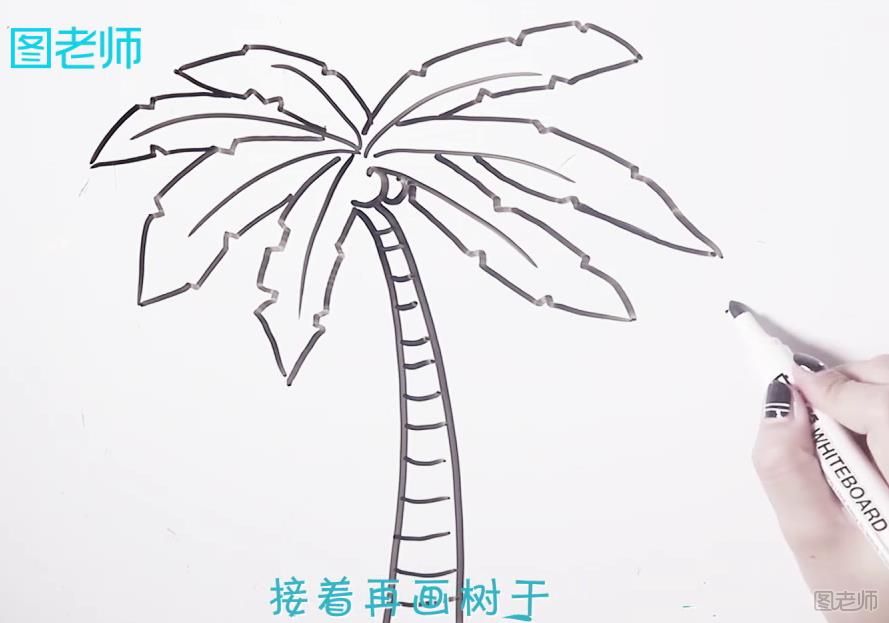 椰子树简笔画教学 椰子树简笔画怎么画