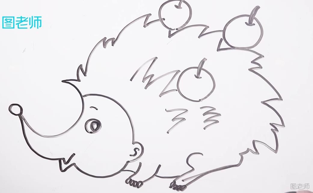 动物简笔画教学 刺猬简笔画怎么画