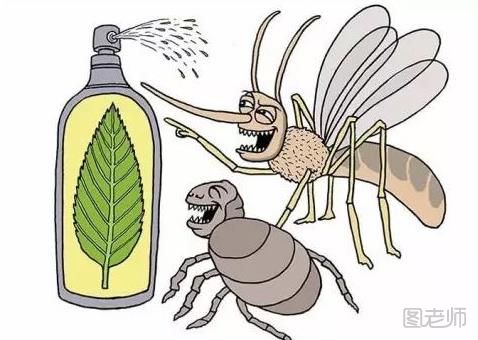 夏季怎么驱蚊 怎么制作驱蚊水