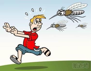 户外怎么防蚊 蚊子喜欢什么