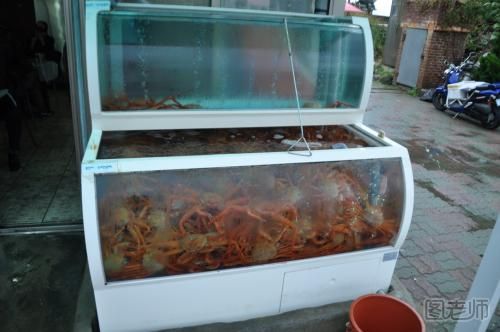 螃蟹怎么保存在冰箱 蒸螃蟹的做法