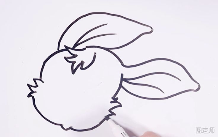 兔子简笔画 1分钟教你画兔子