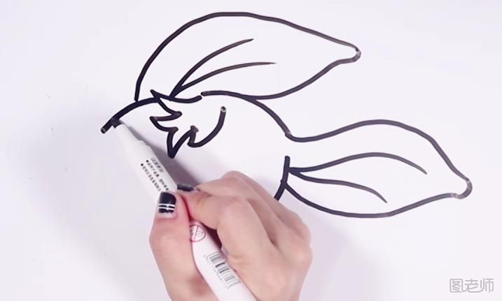兔子简笔画 兔子简笔画教学