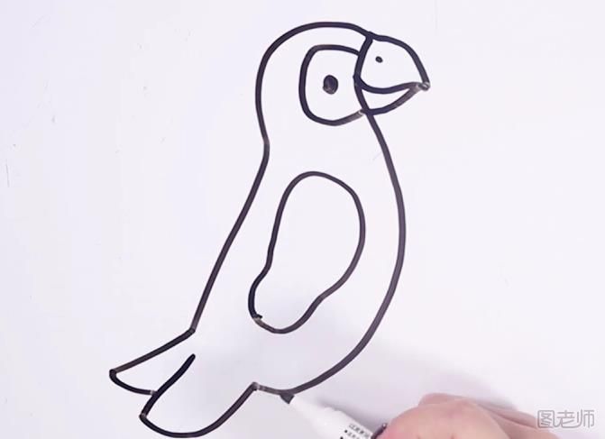 鹦鹉简笔画教学 1分钟画鹦鹉简笔画