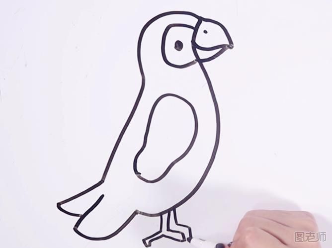 鹦鹉简笔画教学 1分钟画鹦鹉简笔画