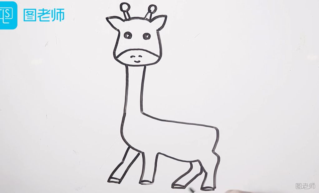 长颈鹿简笔画 长颈鹿简笔画视频教程