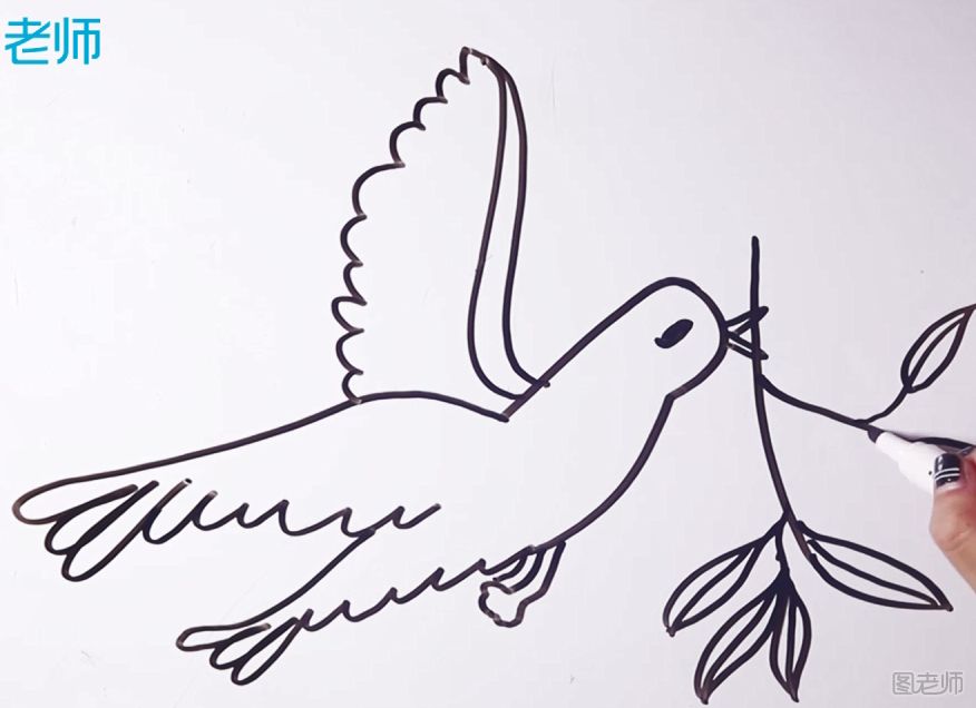 和平鸽简笔画 怎么画和平鸽