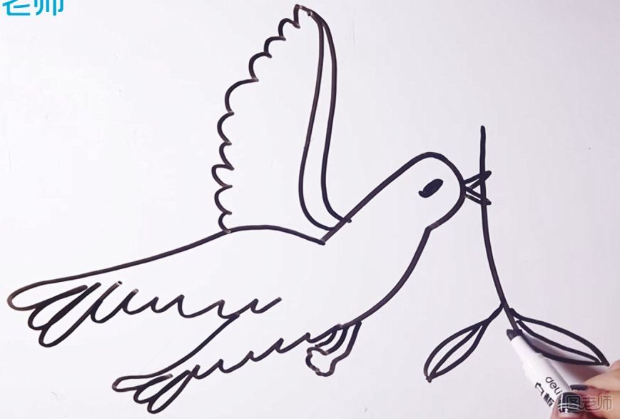和平鸽简笔画 怎么画和平鸽