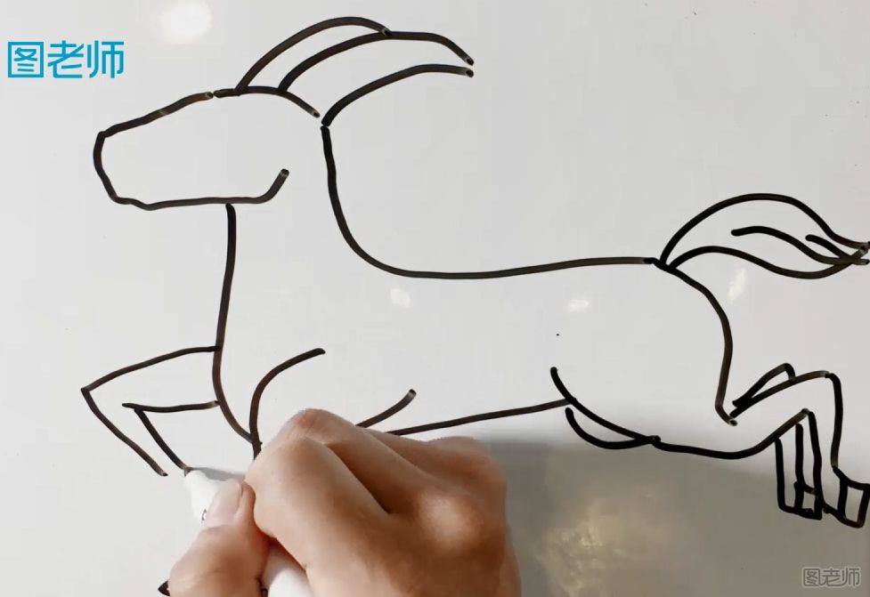 羊的简笔画 羊的简笔画视频教程
