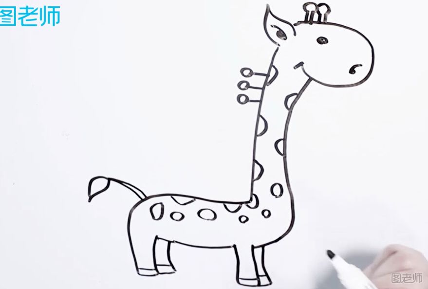 可爱长颈鹿简笔画