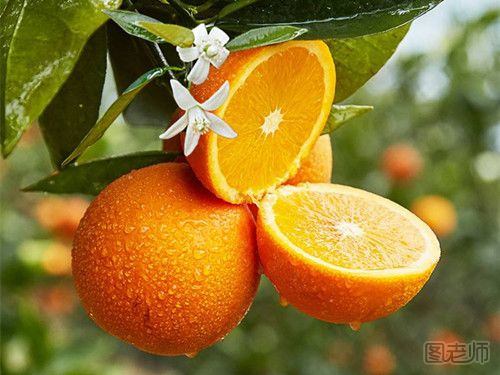 橙子的食用禁忌 橙子皮泡脚有什么作用