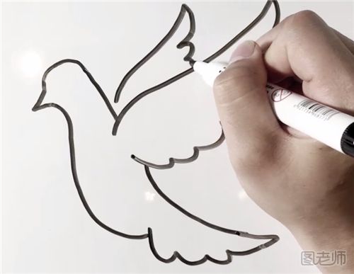 和平信鸽的画法6.png