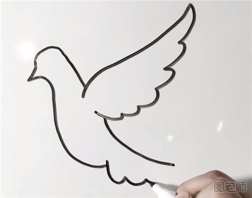 和平信鸽的画法8.png