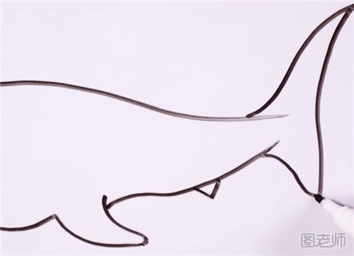 鲨鱼简笔画的具体步骤三.png