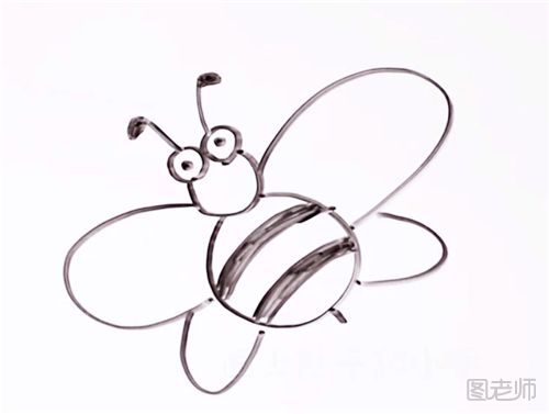 蜜蜂简笔画步骤