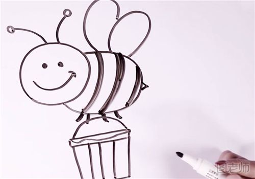 蜜蜂简笔画步骤