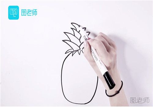 菠萝的简笔画.jpg