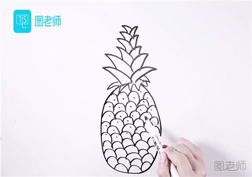 菠萝的简笔画.jpg