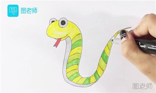 儿童画十二生肖蛇.jpg