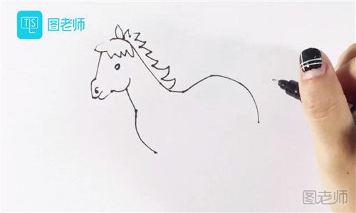 儿童画十二生肖马.jpg