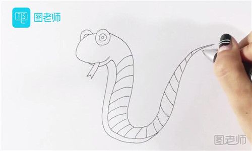 儿童画十二生肖蛇.jpg