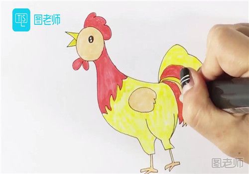儿童画十二生肖鸡.jpg