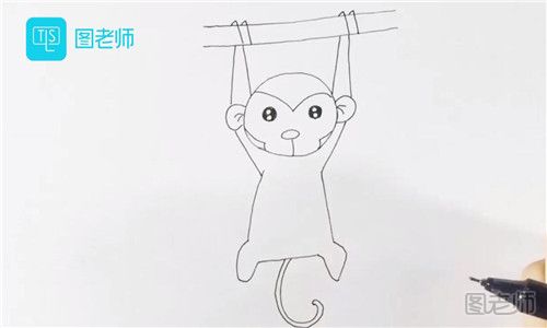 再画出猴子的身体部分和后肢还有尾巴，尾巴尾部可以画弯.jpg
