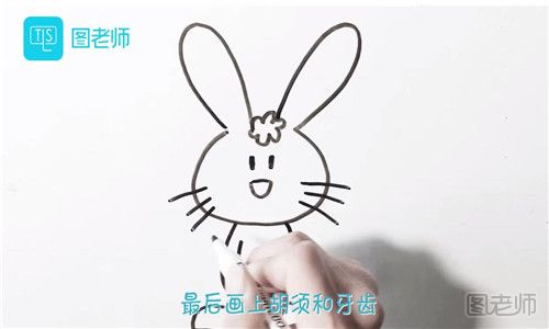 兔子怎么画.jpg