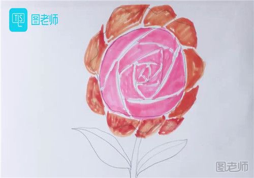 玫瑰花的画法