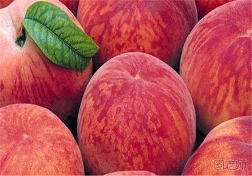 秋天怎么挑选桃子 这样做帮你挑到新鲜美味的