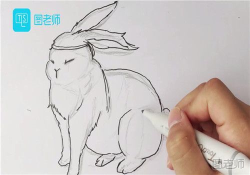 玉兔的简笔画彩色