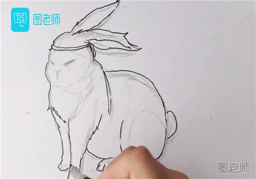 玉兔的简笔画彩色
