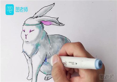 玉兔简笔画彩色画法