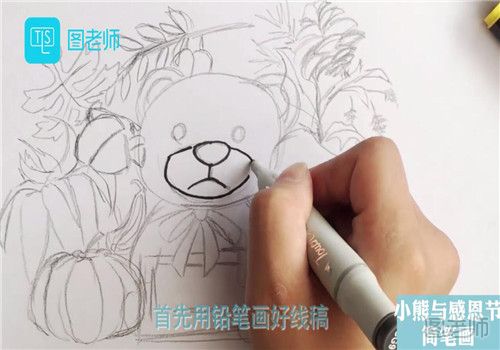小熊与感恩节简笔画