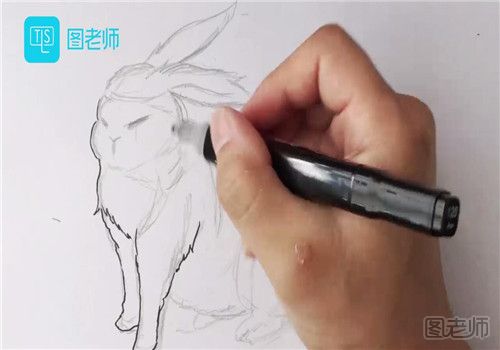 玉兔简笔画彩色画法
