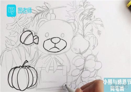 小熊与感恩节简笔画