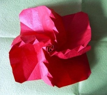 过程32:构成折纸玫瑰的卷起样式如图所示。