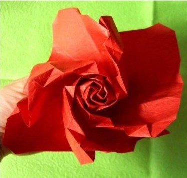 过程33:不断的卷起使得折纸玫瑰立体化。