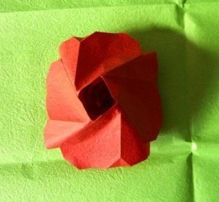 过程35:四面都粘合好后的效果如图，折纸玫瑰雏形就出来了。