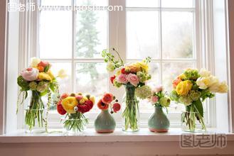 依据房间的不一样功用挑选和摆放花卉植物
